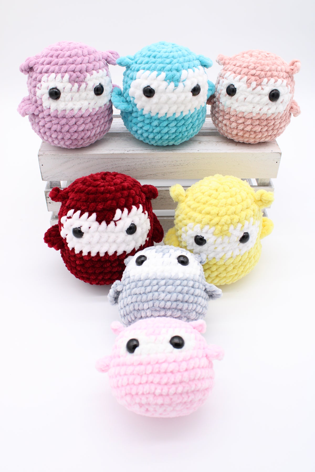 Owls